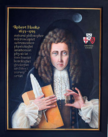 Robet Hooke
