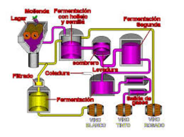 procesos de fermentacion