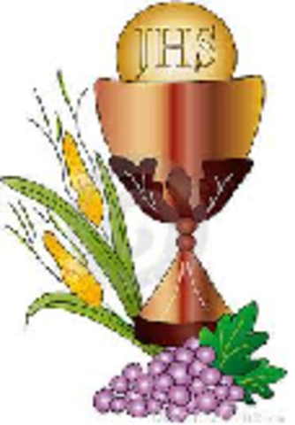 Primera Comunion Leidy Suarez