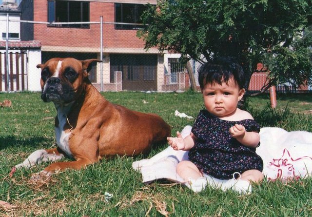 Segundo año de vida