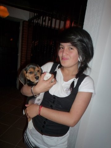 Llegada de mi perro a la familia