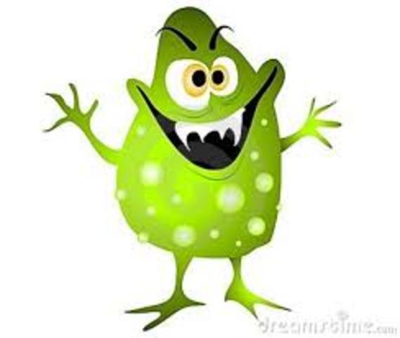 PRIMERAS BACTERIAS OBSERVADAS