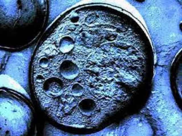 Células madre, la piedra angular de la vida