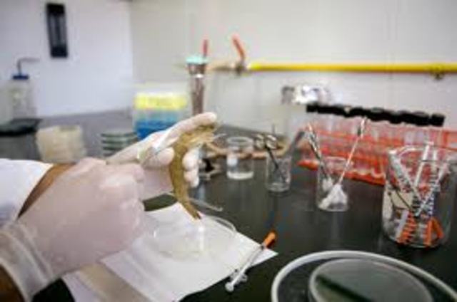 LA EMICION DE LA RESOLUCION DE LA UNIVERSIDAD DEL VALLE