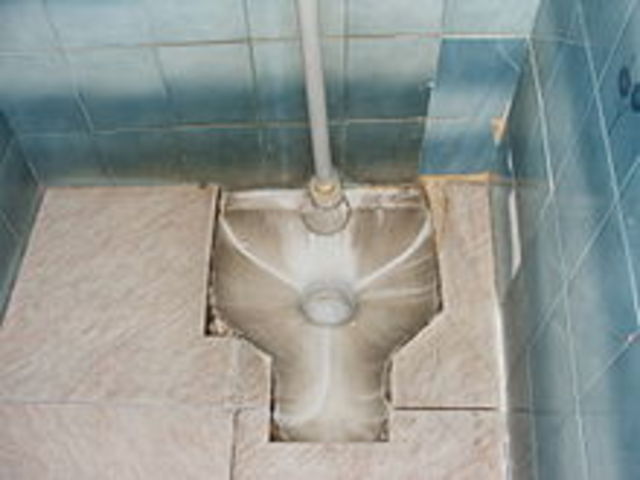 historia del inodoro