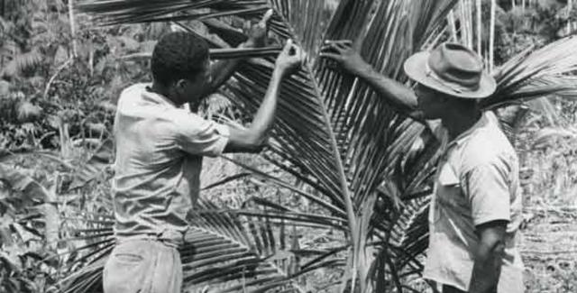 intento de reforma aqraria