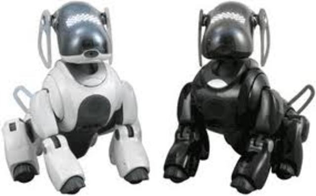 AIBO the robotic dog