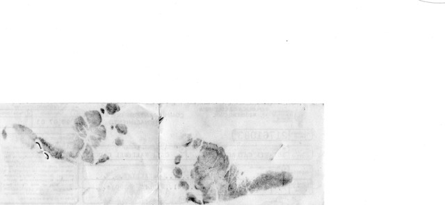 Geraldine Solarte Pino