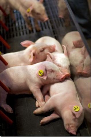 Miracle of Birth Center Added