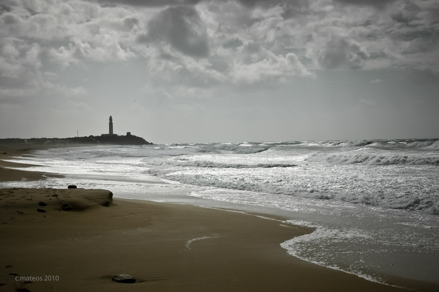 DECRETO 178/1984, de 19 de junio,