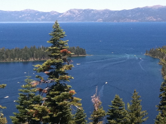 Hey, Go Out and Enjoy Life Now,Ok