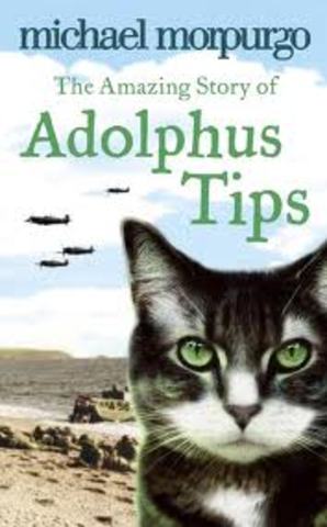 Adolphus Tips (300)