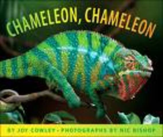 Chameleon