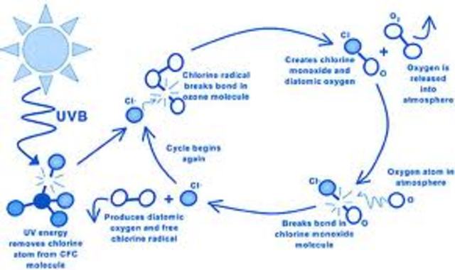 International meeting