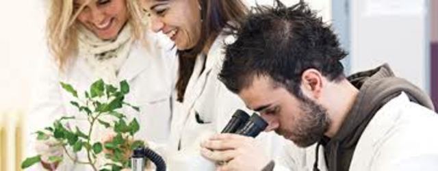 papel de un ingeniero