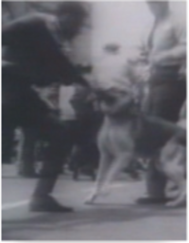 Peaceful Children's Crusade