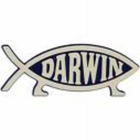 Darwin Fish