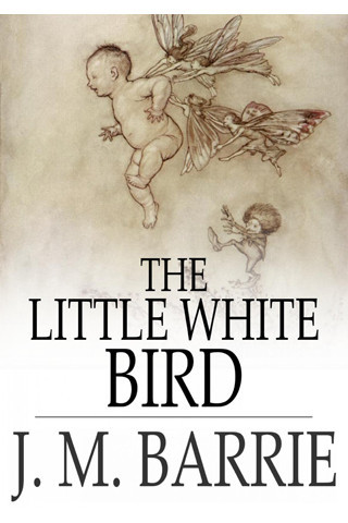 THE LITTLE WHITE BIRD