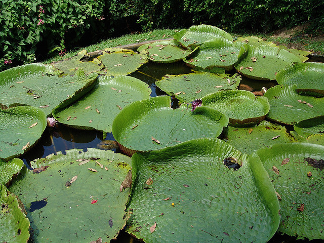 Registro calificado ingenieria ambiental uniboyaca