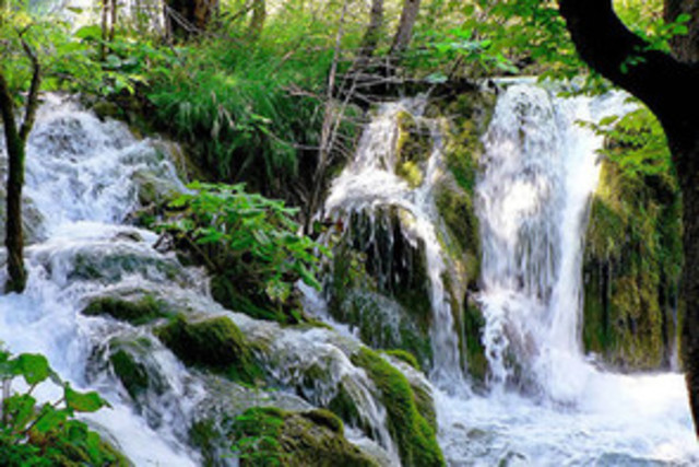 primer estudiante de ingenieria ambiental.
