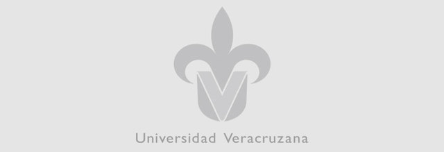 segundo estudiante proveniente de México