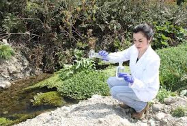 Estabilidad y Evolución