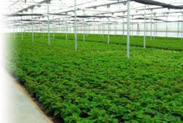 Participacion en el Encuentro Nacional de semilleros