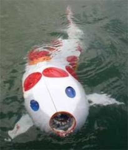 Fish Robot
