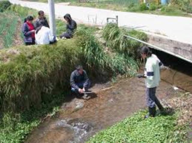 Proteccion fundamental al medio ambiente