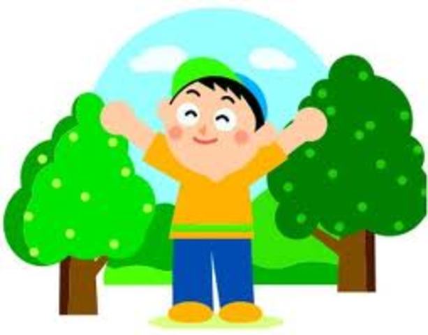 SISTEMAS EDUCATIVOS AMBIENTALISTAS