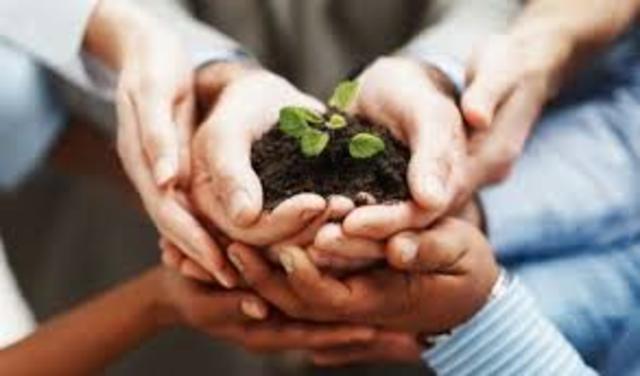 FUERZA AMBIENTALISTA