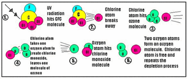 Efect of CFCs on eviroment