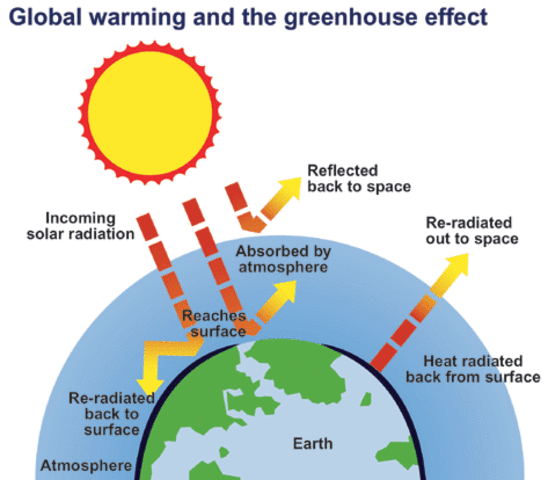 greenhouse dangerous chemicals