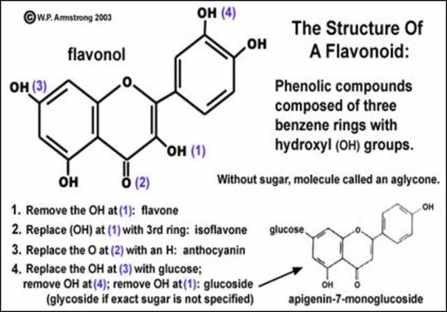 What happen to the artic Sea Animals