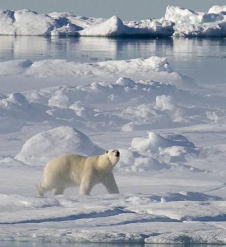 The nature of the ozone layer but having to deal with it !