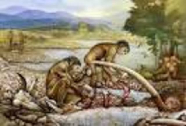 PREISTORIA 2 MILIONI DI ANNI a.C.