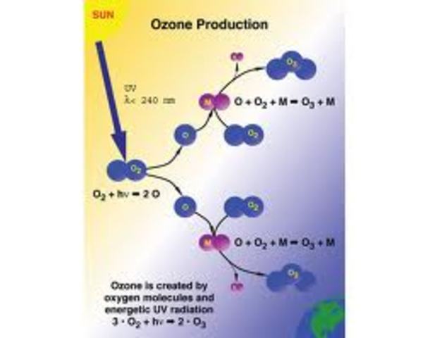 Ozone reform.