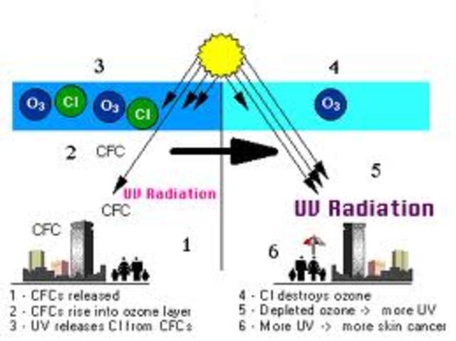 Destroy ozone reaction
