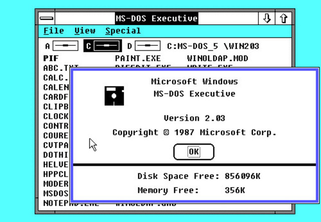 Windows 3.0