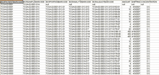 First electronic spreadsheet