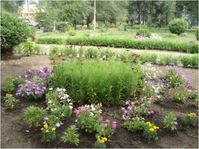 Наш пришкольный участок