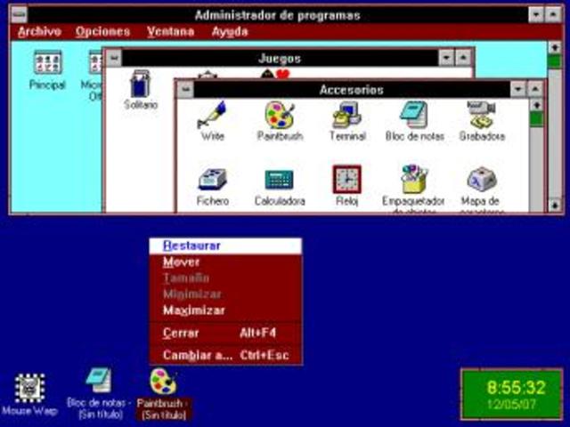 Microsoft® Windows 3.X