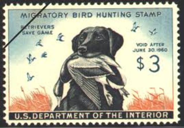 Migratory Bird Hunting Stamp Act