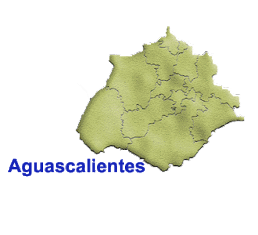 Legislación Aguascalientes 1914.