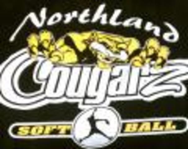 I Join My Softball Team