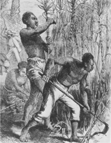 First slaves in Virginia