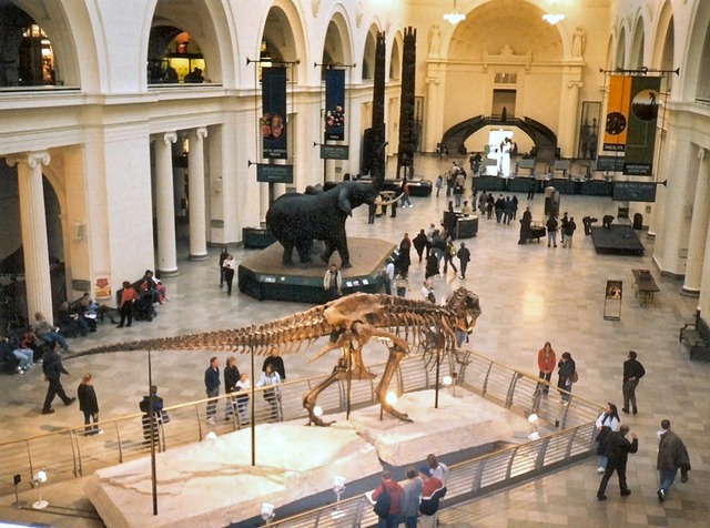 Field Museum