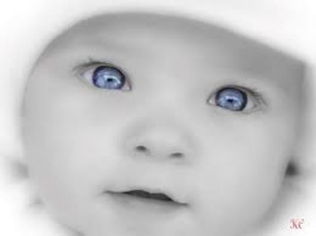 When Jonas's Father brings home Gabriel, Jonas notes that this baby, like himself, has light-colored eyes. As you can see Gabriel has the same traits such as eye color. Throughout the story Jonas will get a bond with Gabriel