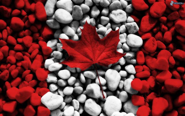 INICIO DE EDUCACIÓN A DISTANCIA