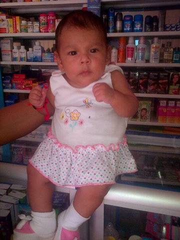 I bought my first dog, his name was Dino, was a little pincher and i love him